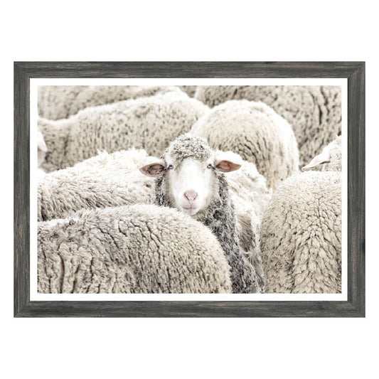 One In The Crowd Mini Wall Art