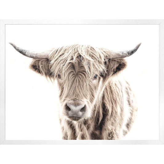 Highland Cow Large Wall Art
