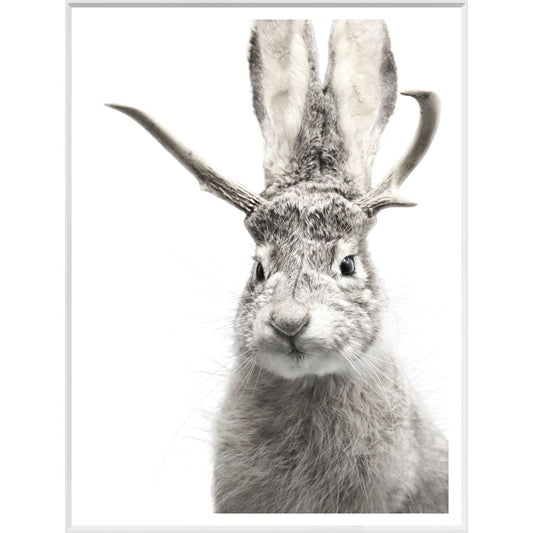 Jackalope Large Wall Art