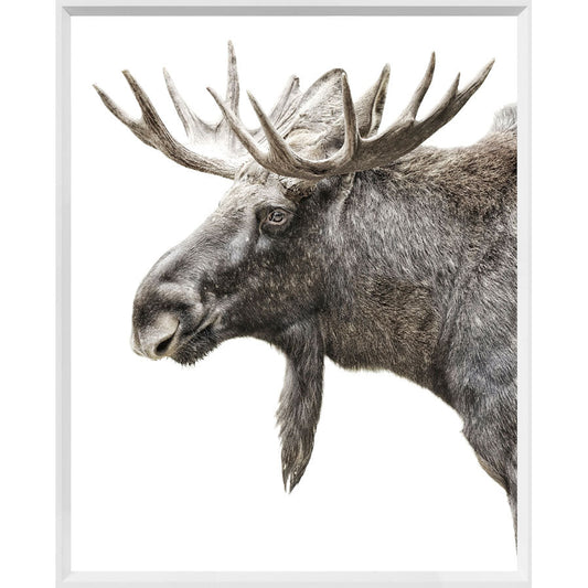 Regal Algonquin Moose Canvas Decor