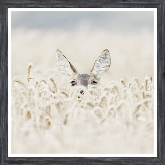 Peeking Deer Wall Art