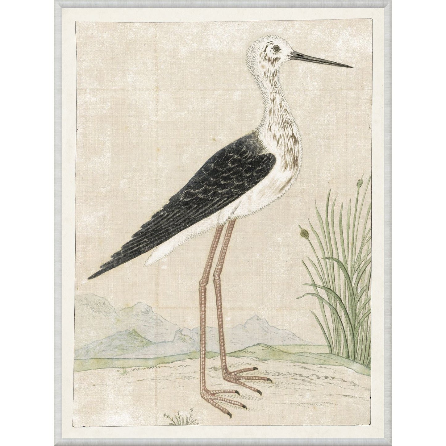 Gordon Black Winged Stilt Wall Art