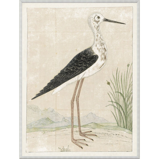 Gordon Black Winged Stilt Wall Art