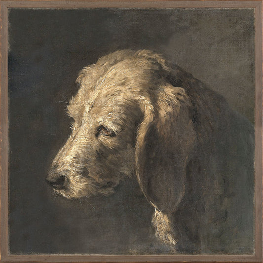 Boreal Canine Wall Art