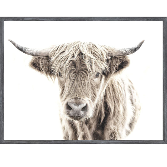 Highland Cow Small Wall Art