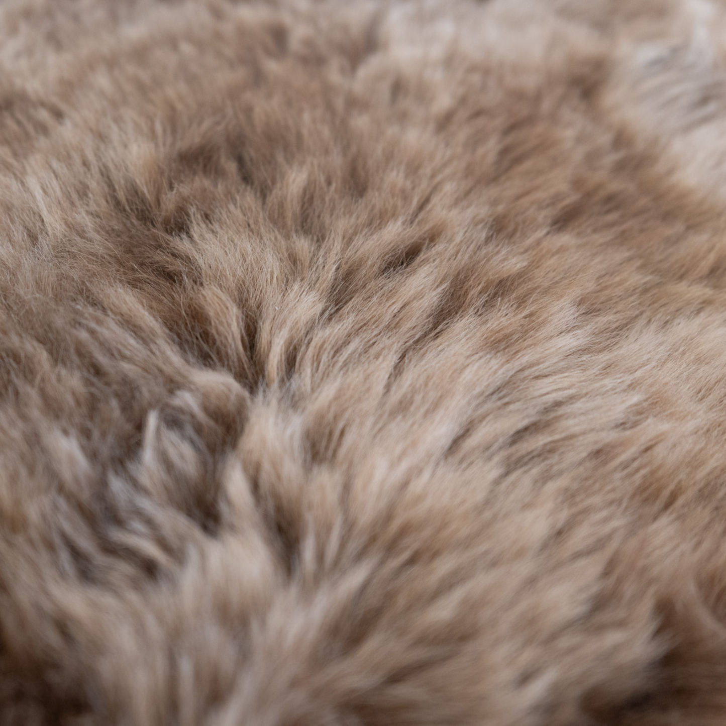 Shorn Caramel Brown Long Hair Sheepskin Throw