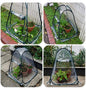 Outdoor Garden Plants And Flowers Antifreeze Greenhouse - FREE SHIPPING