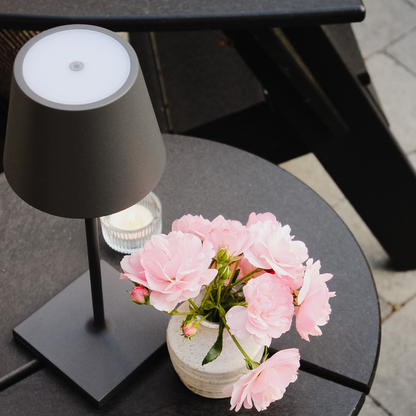 Poldina Pro Dark Grey Cordless Lamp