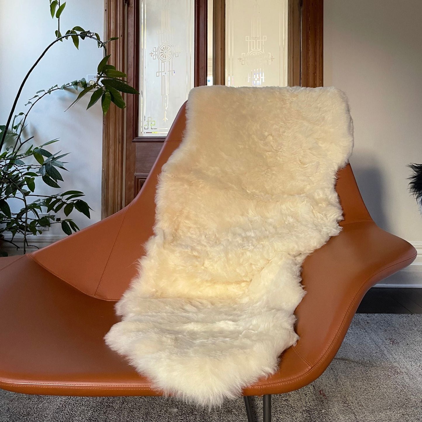 Shorn White Sheepskin Throw