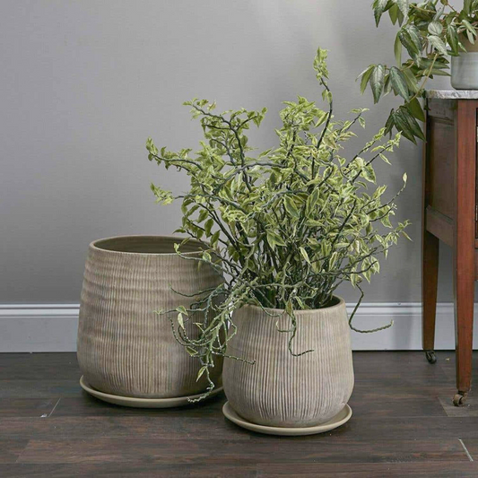 Terrene Ceramic Pot
